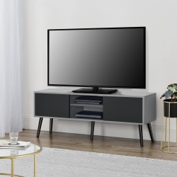 ТВ маса Eskilstuna, размери 120 x 29,5 x 46,5 см, с 2 врати на шкафа и 2 рафта, Светло сиво и черно - Дневна