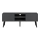 ТВ маса Eskilstuna, размери 120 x 29,5 x 46,5 см,  с 2 врати на шкафа и 2 рафта, Тъмно сив цвят