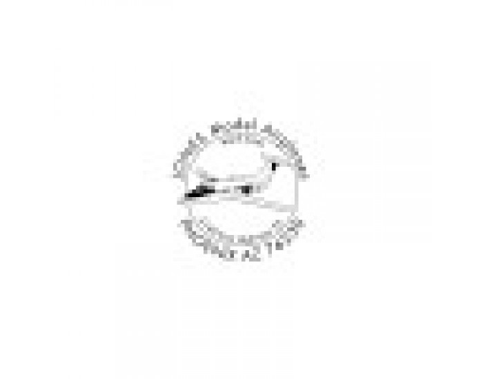 Colop Печат Microban R 2045, антибактериален, кръгъл, 45 mm, черен