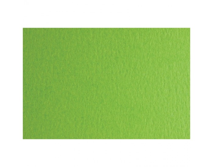 Fabriano Картон Colore, 70 x 100 cm, 140 g/m2, № 230, тревистозелен Fabriano Картон Colore, 70 x 100 cm, 140 g/m2, № 230, тревистозелен