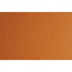 Fabriano Картон Colore, 50 x 70 cm, 140 g/m2, № 223, светлокафяв - Копирна хартия, за машинопис и други хартии