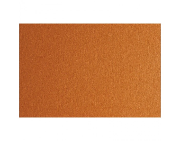 Fabriano Картон Colore, 50 x 70 cm, 200 g/m2, № 223, светлокафяв Fabriano Картон Colore, 50 x 70 cm, 200 g/m2, № 223, светлокафяв