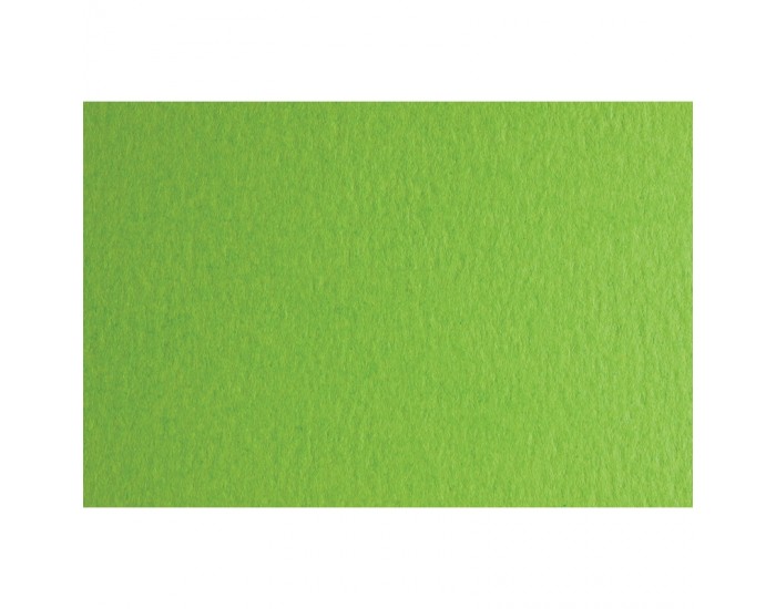 Fabriano Картон Colore, 50 x 70 cm, 200 g/m2, № 230, тревистозелен Fabriano Картон Colore, 50 x 70 cm, 200 g/m2, № 230, тревистозелен