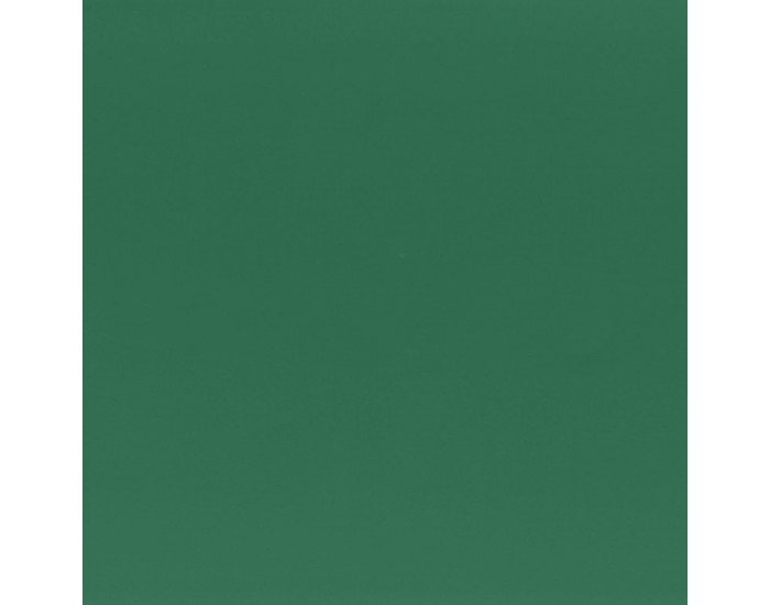 Fabriano Картон Elle Erre, 50 x 70 cm, 220 g/m2, № 128, тъмнозелен