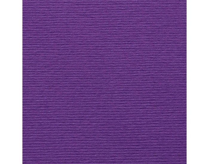 Fabriano Картон Elle Erre, 70 x 100 cm, 220 g/m2, № 104, виолетов Fabriano Картон Elle Erre, 70 x 100 cm, 220 g/m2, № 104, виолетов