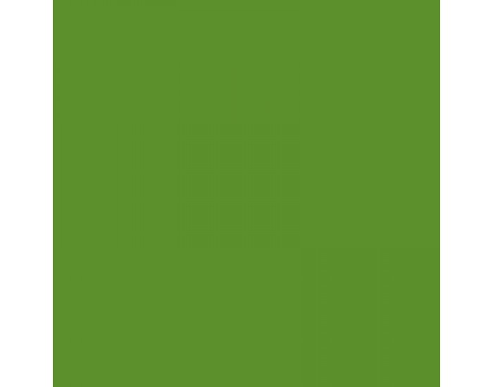 Fabriano Картон Elle Erre, 70 x 100 cm, 220 g/m2, № 110, тревистозелен