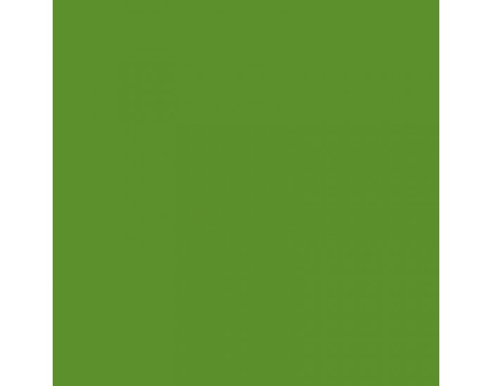 Fabriano Картон Elle Erre, 70 x 100 cm, 220 g/m2, № 110, тревистозелен