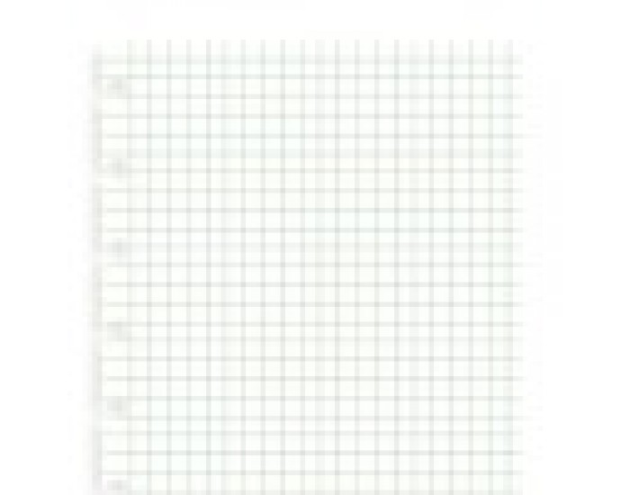 Filofax Пълнител за тефтер, A5, на квадратчета Filofax Пълнител за тефтер, A5, на квадратчета