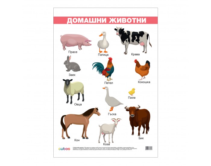 Office 1 Ученическо табло ''Домашни животни'', ламинирано, 50 x 70 cm, модел 1 Office 1 Ученическо табло ''Домашни животни'', ламинирано, 50 x 70 cm, модел 1
