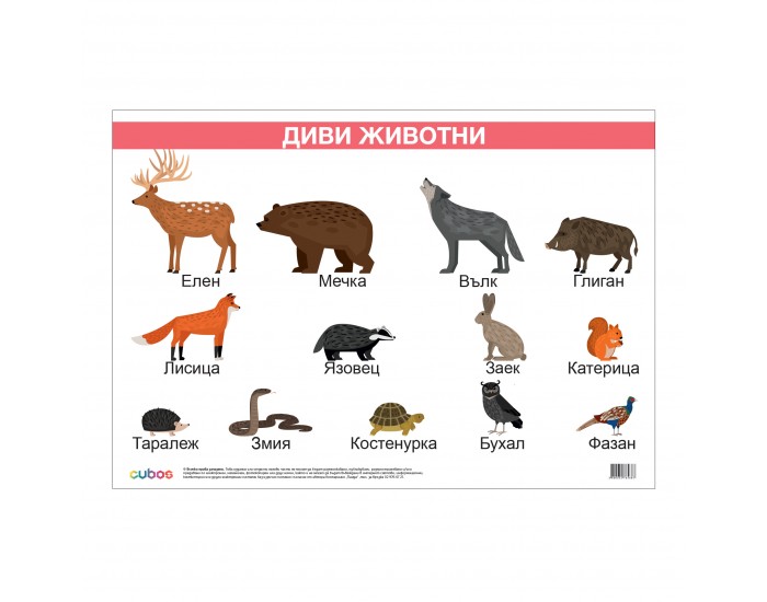 Office 1 Ученическо табло ''Диви животни'', ламинирано, 50 x 70 cm, модел 1 Office 1 Ученическо табло ''Диви животни'', ламинирано, 50 x 70 cm, модел 1