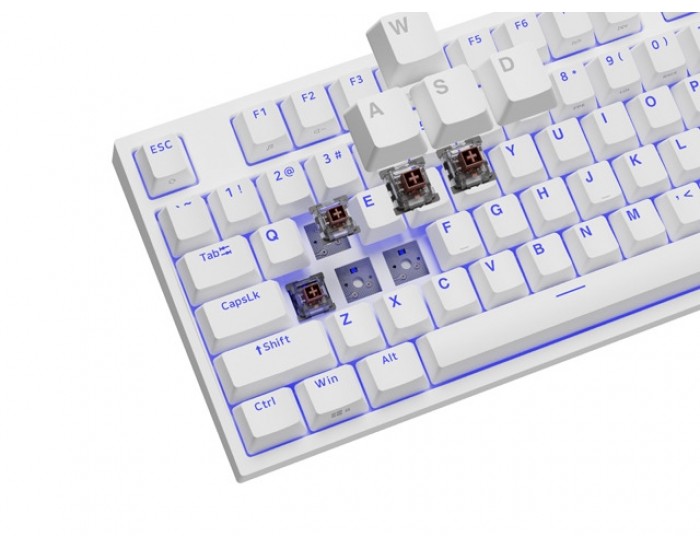 Клавиатура Genesis Gaming Keyboard Thor 404 TKL White RGB Backlight US Layout Brown Switch Клавиатура Genesis Gaming Keyboard Thor 404 TKL White RGB Backlight US Layout Brown Switch