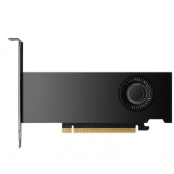 Видео карта PNY Nvidia RTX 2000 16GB GDDR6 ADA Gen. LP - PNY