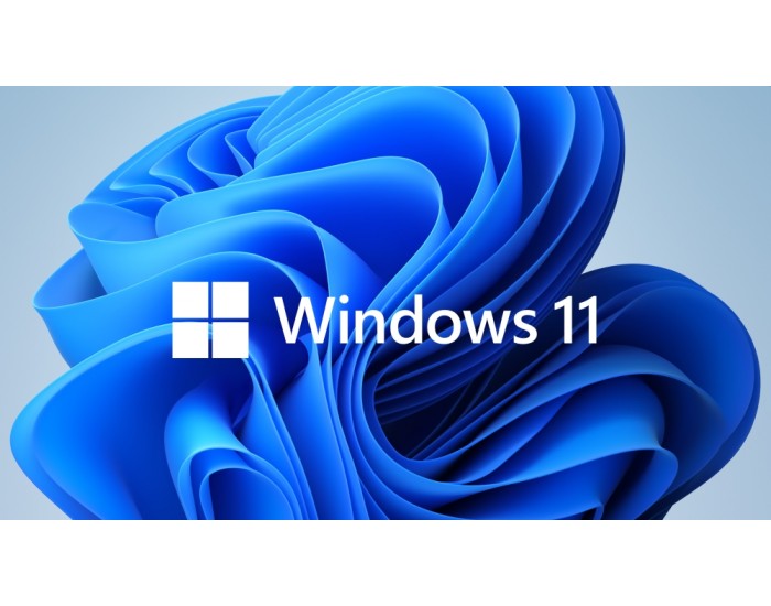 Програмен продукт с лицензен стикер Microsoft Windows 11 Home 64Bit Eng Intl 1pk DSP OEI DVD Програмен продукт с лицензен стикер Microsoft Windows 11 Home 64Bit Eng Intl 1pk DSP OEI DVD