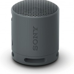Тонколони Sony SRS-XB100 Portable Bluetooth Speaker, black - Офис техника