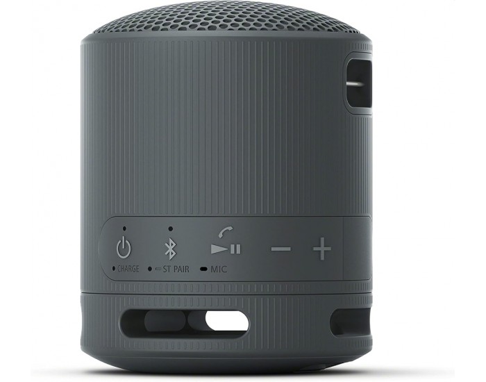 Тонколони Sony SRS-XB100 Portable Bluetooth Speaker, black