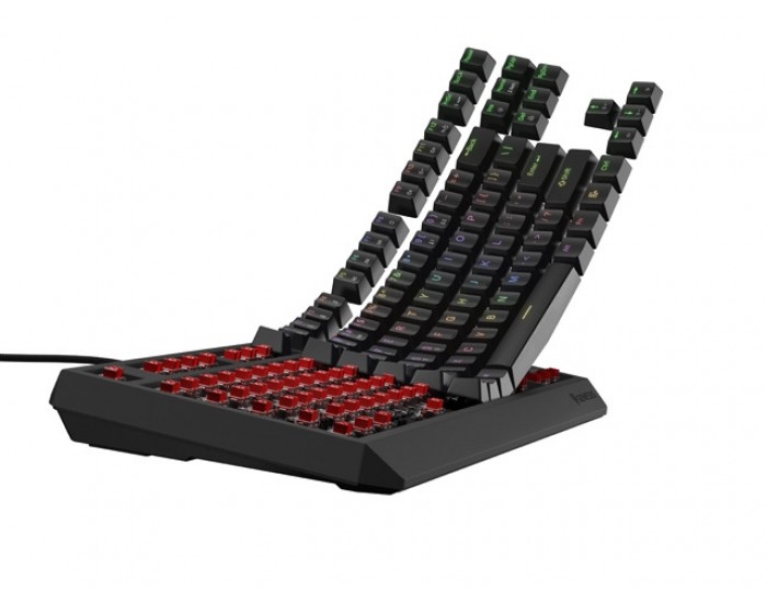 Клавиатура Genesis Gaming Keyboard Thor 230 TKL US RGB Mechanical Outemu Red Black Hot Swap Клавиатура Genesis Gaming Keyboard Thor 230 TKL US RGB Mechanical Outemu Red Black Hot Swap