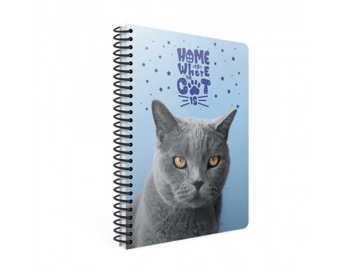 Gipta Тетрадка Catbook, бяла хартия, широки редове, PP корица, със спирала, А4, 80 листа