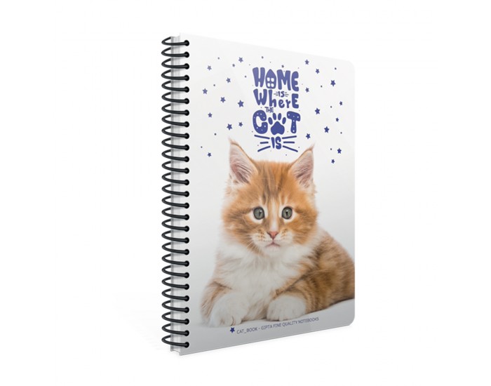 Gipta Тетрадка Catbook, бяла хартия, широки редове, PP корица, със спирала, А4, 80 листа