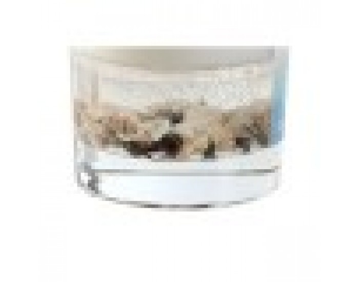 Ароматизирана Свещ Home ESPRIT Ocean Breeze Средиземноморско