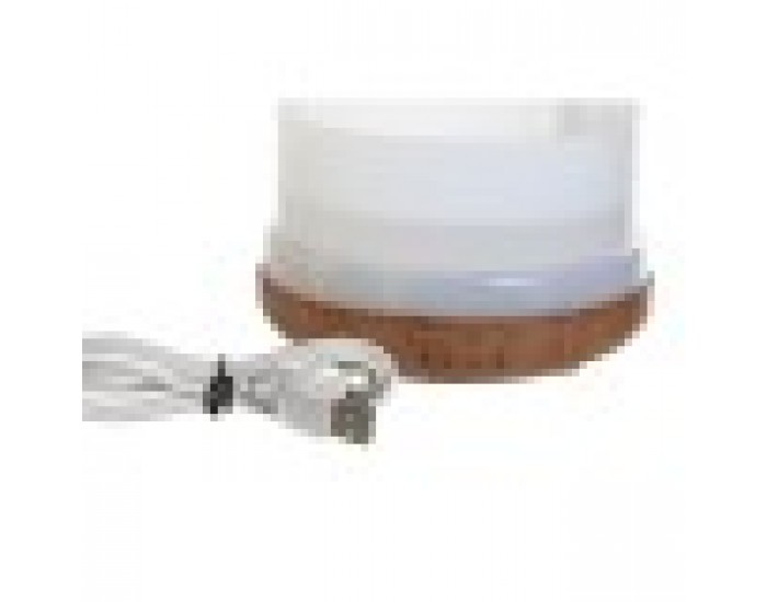 Дифузер за Етерично Масло Home ESPRIT Град 220 ml