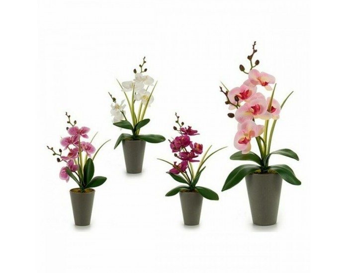 Декоративно Растение Орхидея Пластмаса (8 x 35 x 14 cm) (12 броя)