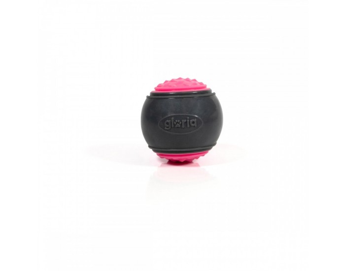 Топка за Домашни Любимци Gloria PLAY AND RUN Розов TPR M 6,35 cm 2 броя Топка за Домашни Любимци Gloria PLAY AND RUN Розов TPR M 6,35 cm 2 броя