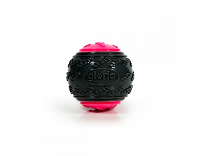 Топка за Домашни Любимци Gloria PLAY AND RUN Розов TPR L 8,89 cm