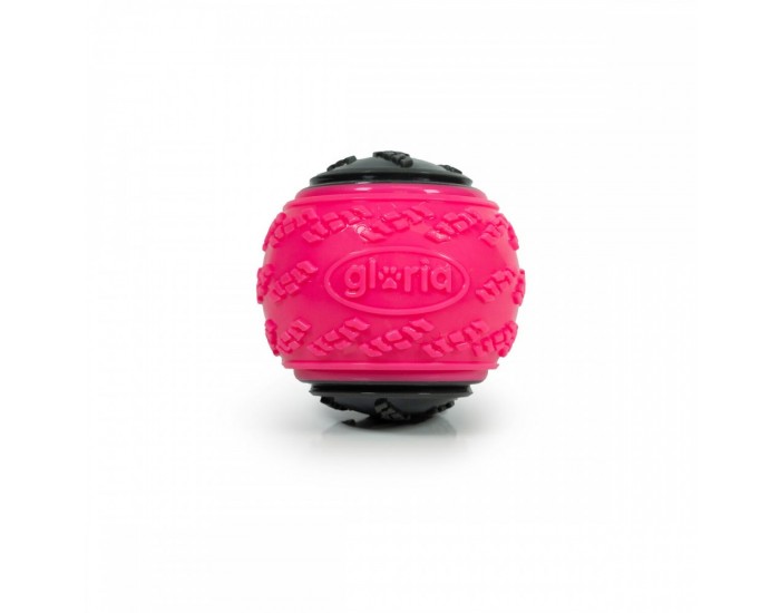 Топка за Домашни Любимци Gloria PLAY AND RUN Розов TPR L 8,89 cm