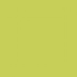 Калъфка за възглавница Happy Home MIX COLORS Шам-фъстък 90 легло 144 Конци 90 cm - Възглавници