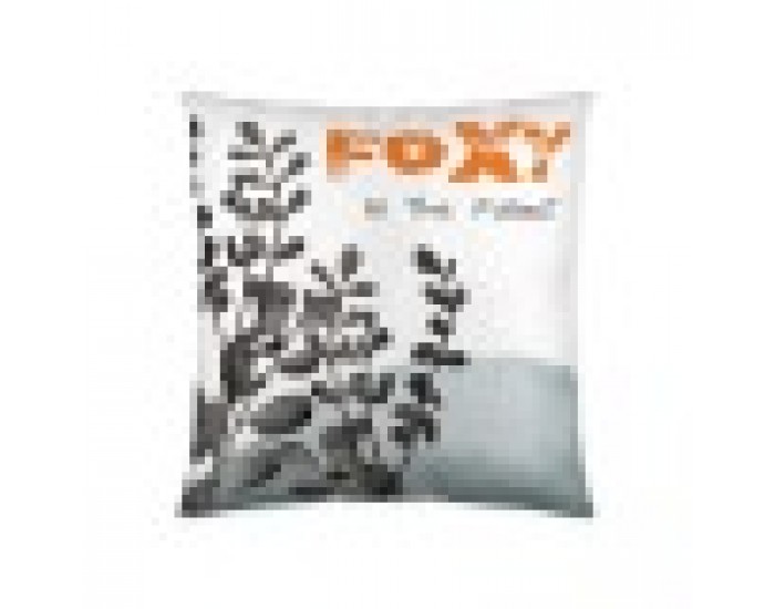 Калъфка за възглавница Naturals Swift (50 x 50 cm)