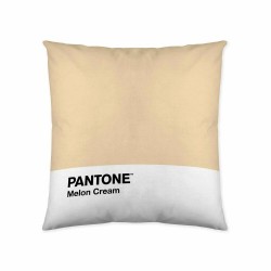 Калъфка за възглавница Melon Cream Pantone (50 x 50 cm) - Възглавници
