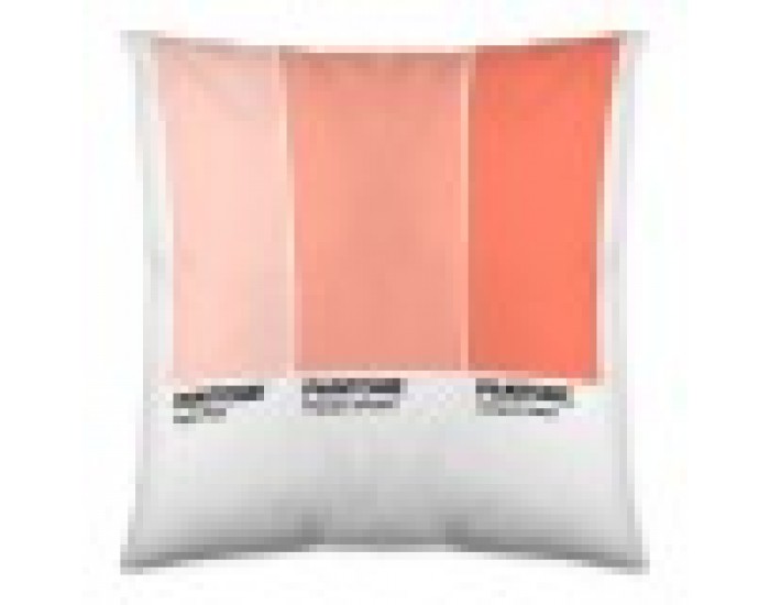 Калъфка за възглавница Ombre B С две лица (50 x 50 cm)