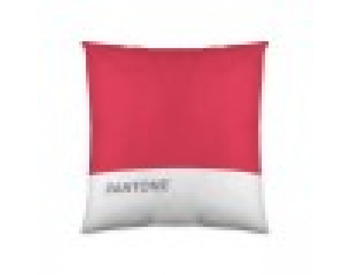 Калъфка за възглавница Pantone Stripes (50 x 50 cm) Калъфка за възглавница Pantone Stripes (50 x 50 cm)