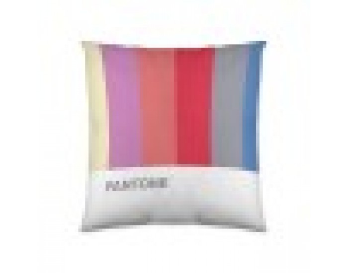 Калъфка за възглавница Pantone Stripes (50 x 50 cm) Калъфка за възглавница Pantone Stripes (50 x 50 cm)