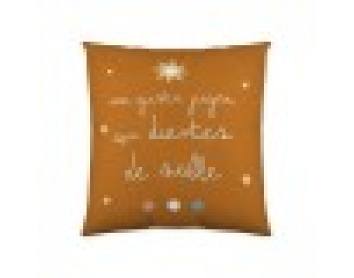 Калъфка за възглавница Haciendo el Indio Ice Age (40 x 40 cm)