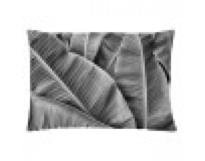 Калъфка за възглавница Naturals MONE 1 Части 30 x 50 cm