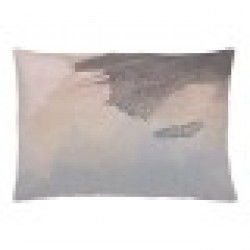 Калъфка за възглавница Naturals Sore (50 x 30 cm) - Възглавници
