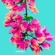Покривало за одеяло Bugnavilla Pantone - Размери - Легло 90 (150 x 220 см) Покривало за одеяло Bugnavilla Pantone - Размери - Легло 90 (150 x 220 см)