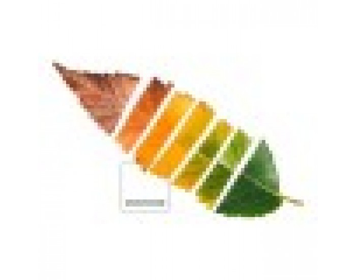 Покривало за одеяло Leaf Pantone - Размери - Легло 135 (220 x 220 см)