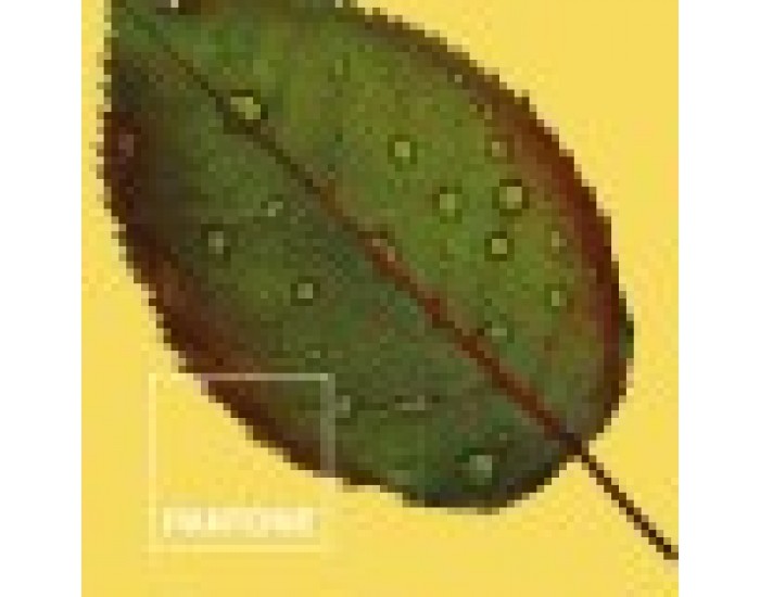 Покривало за одеяло Nature Pantone - Размери - Легло 150 (240 x 220 см)