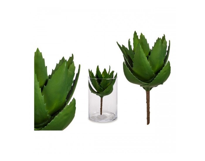 Декоративно Растение алое вера (14 x 23 x 14 cm)