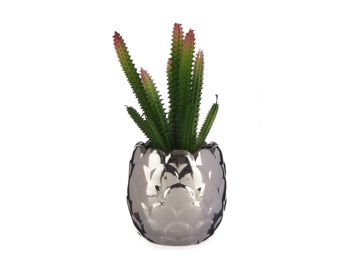 Декоративно Растение Сребрист Кактус Керамика Пластмаса (8 x 20 x 8 cm)