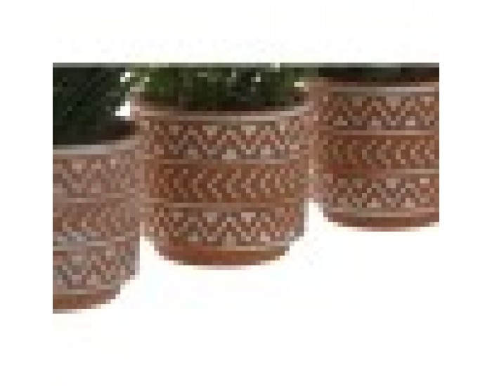 Декоративно Растение Home ESPRIT полиетилен Цимент 12 x 12 x 17 cm (3 броя)