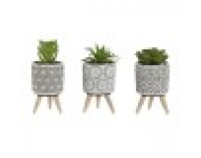 Декоративно Растение Home ESPRIT полиетилен Цимент 6,5 x 6,5 x 11 cm (3 броя)