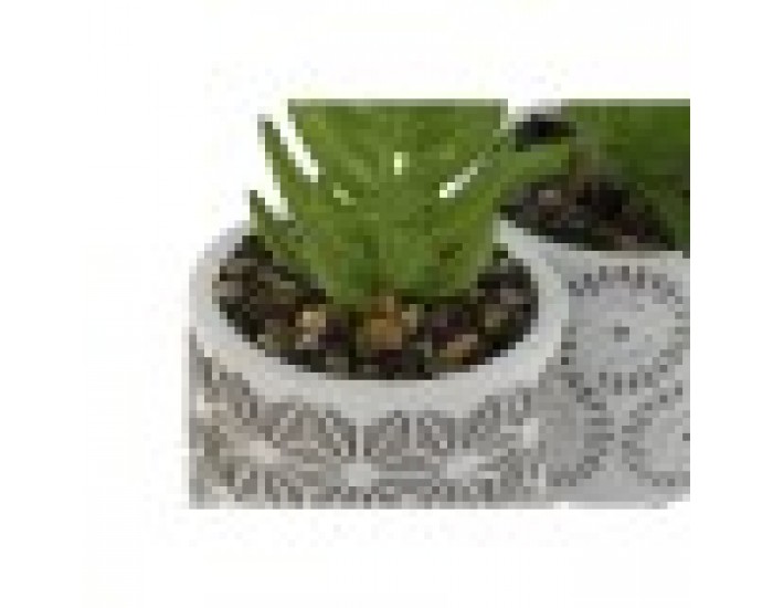Декоративно Растение Home ESPRIT полиетилен Цимент 6,5 x 6,5 x 11 cm (3 броя)