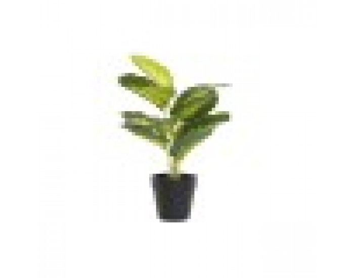 Декоративно Растение DKD Home Decor Черен Зелен PVC PP (25 x 25 x 30 cm)