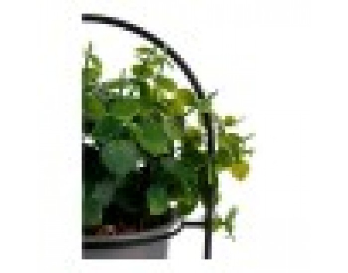 Декоративно Растение Сив С опора Метал Пластмаса (14 x 30 x 14 cm)