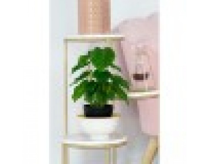 Декоративно Растение DKD Home Decor Черен Зелен PVC PP (20 x 20 x 30 cm)