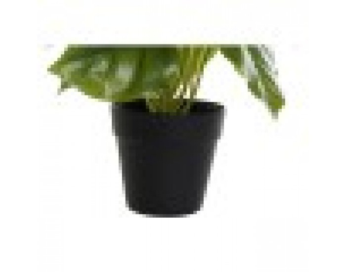 Декоративно Растение DKD Home Decor Черен Зелен PVC PP (20 x 20 x 30 cm)