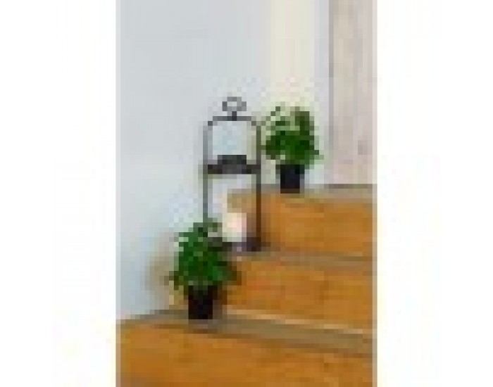 Декоративно Растение DKD Home Decor Черен Зелен PVC PP (20 x 20 x 30 cm)